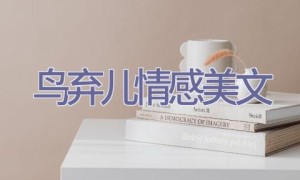 鸟弃儿情感美文