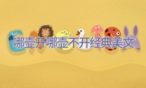 哪壶开哪壶不开经典美文