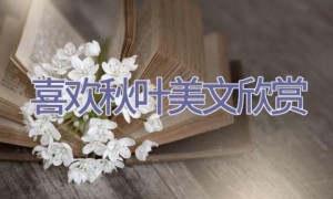 喜欢秋叶美文欣赏