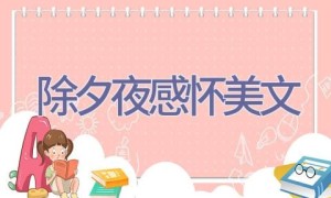 除夕夜感怀美文