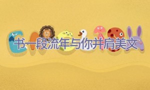 书一段流年与你并肩美文