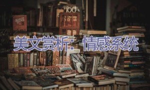 美文赏析：情感系统
