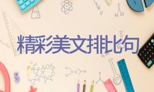 精彩美文排比句