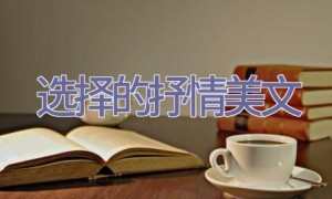选择的抒情美文