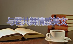 与君共舞情感美文