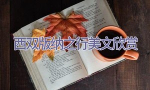 西双版纳之行美文欣赏