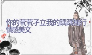 你的茕茕孑立我的踽踽独行情感美文