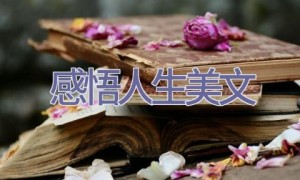 感悟人生美文