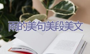 雨的美句美段美文