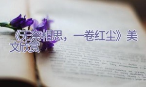 《无奈相思，一卷红尘》美文欣赏