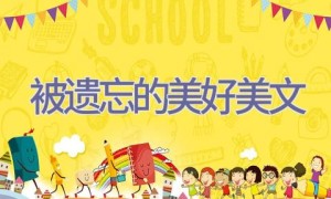 被遗忘的美好美文