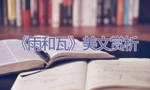 《雨和瓦》美文赏析