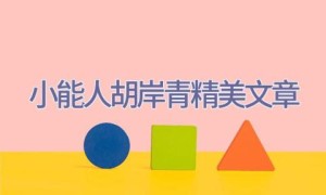 小能人胡岸青-精美文章