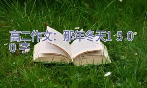 高二作文：那年冬天_1500字