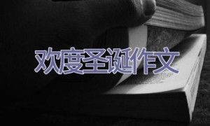 欢度圣诞作文