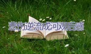 悲伤逆流成河观后感