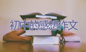 初中的感想作文
