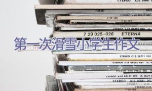 第一次滑雪小学生作文