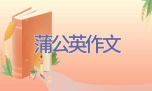 蒲公英作文