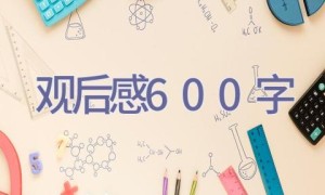 观后感600字