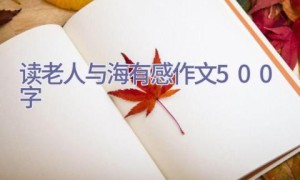 读老人与海有感作文500字