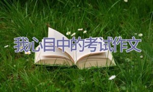 我心目中的考试作文
