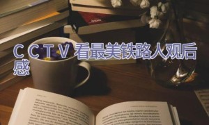 CCTV看最美铁路人观后感