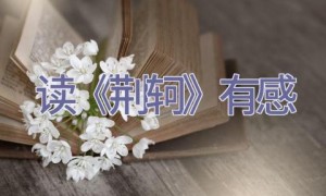 读《荆轲》有感