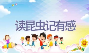 读昆虫记有感