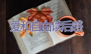 爱和自由读后感