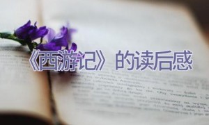 《西游记》的读后感