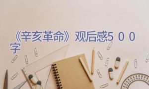 《辛亥革命》观后感500字