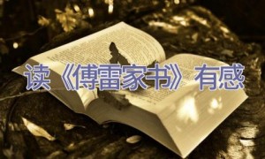 读《傅雷家书》有感