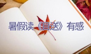 暑假读《目送》有感