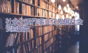 社会化运作 事业化发展-社会调查报告