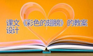 课文《彩色的翅膀》的教案设计
