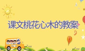 课文桃花心木的教案