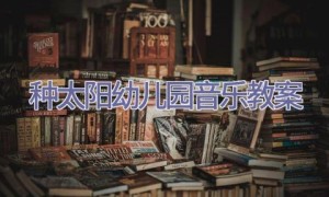 种太阳幼儿园音乐教案