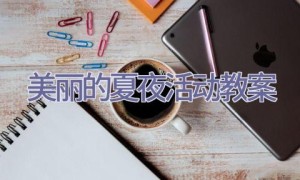 美丽的夏夜活动教案
