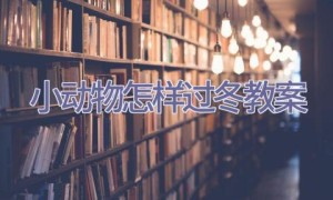 小动物怎样过冬教案