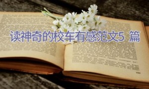 读神奇的校车有感范文5篇
