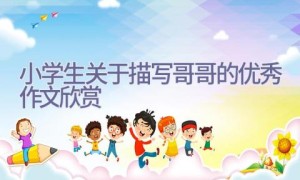 小学生关于描写哥哥的优秀作文欣赏