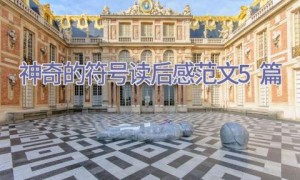 神奇的符号读后感范文5篇