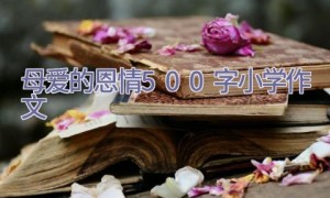 母爱的恩情500字小学作文