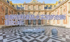 电解饱和食盐水实验的创新理念分析