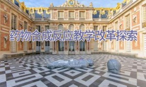 药物合成反应教学改革探索