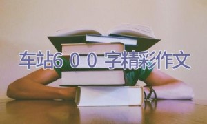 车站600字精彩作文