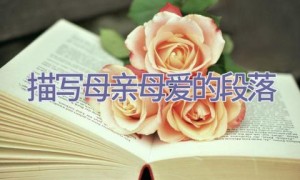 描写母亲母爱的段落