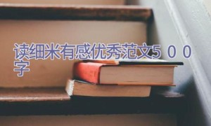 读细米有感优秀范文500字