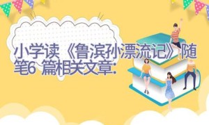 小学读《鲁滨孙漂流记》随笔6篇相关文章：